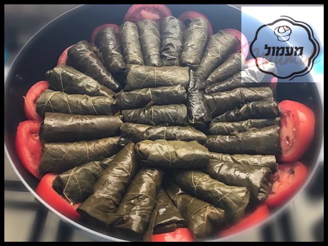 15666202_748102648677769_1992365690_n