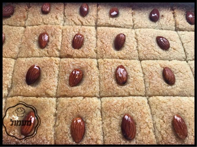 21555944_902424036578962_243894192_o